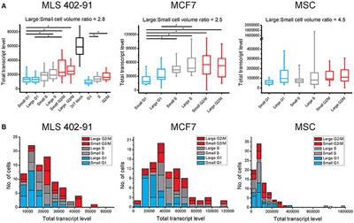 Cell Cycle and Cell Size Dependent Gene Expression Reveals Distinct Subpopulations at Single-Cell Level